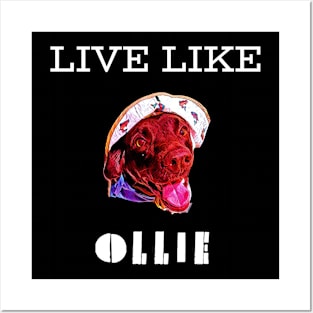 Live Like Ollie 1 Posters and Art